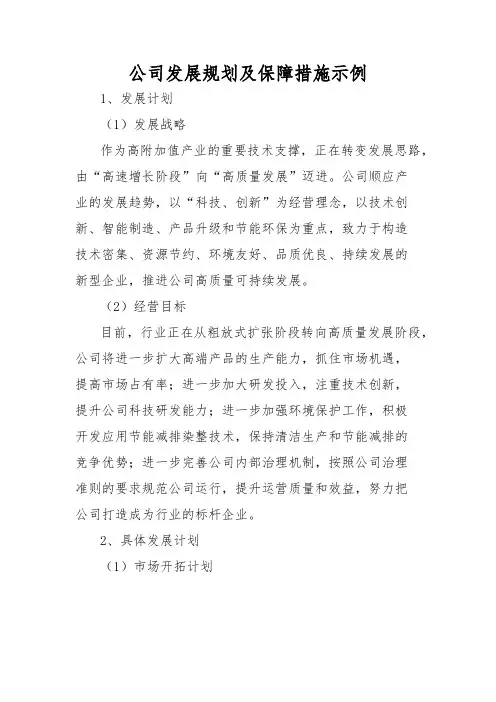 公司发展规划及保障措施示例