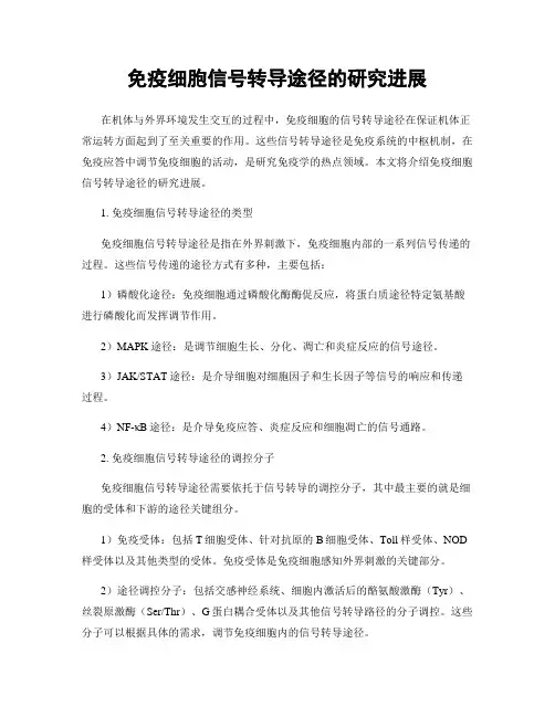 免疫细胞信号转导途径的研究进展
