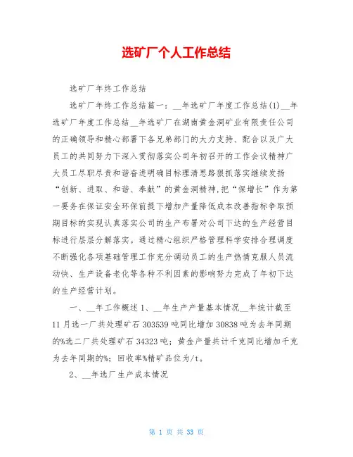 选矿厂个人工作总结