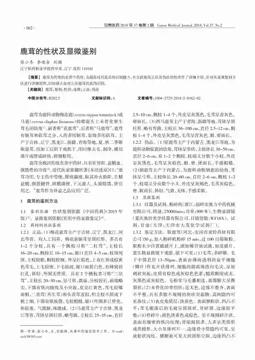 鹿茸的性状及显微鉴别