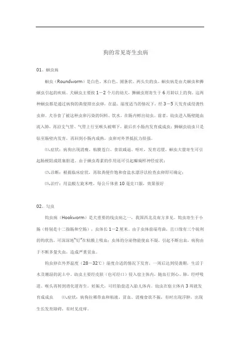 狗的常见寄生虫病