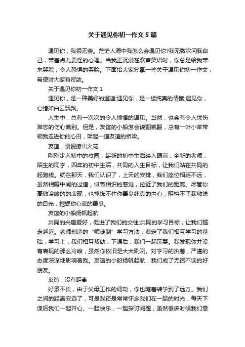 关于遇见你初一作文5篇