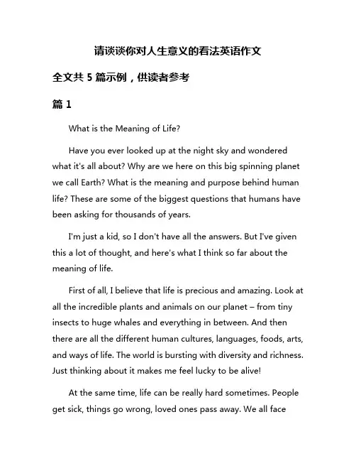 请谈谈你对人生意义的看法英语作文
