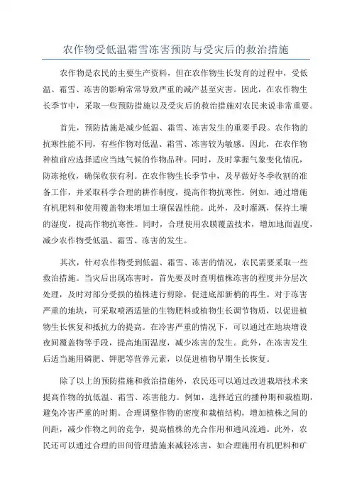 农作物受低温霜雪冻害预防与受灾后的救治措施