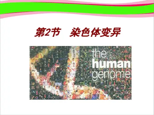 染色体变异染色体变异染色体变异  公开课精品课件