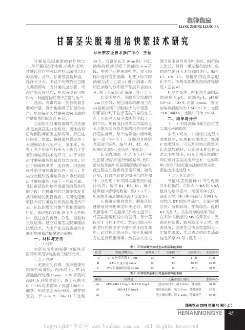 甘薯茎尖脱毒组培快繁技术研究