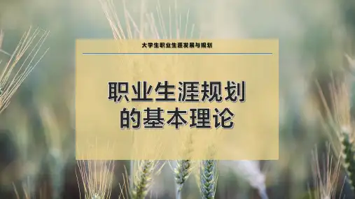 职业生涯规划的基本理论