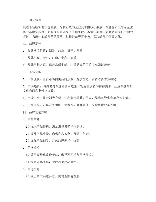 品牌营销策划全案