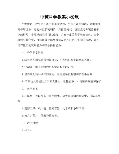 中班科学教案小泥鳅