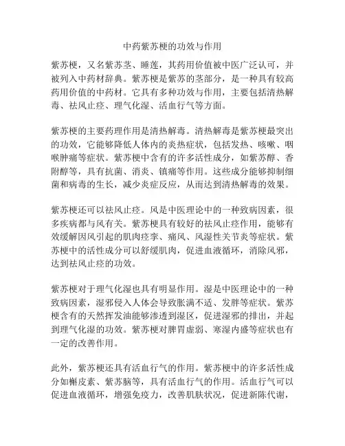 中药紫苏梗的功效与作用