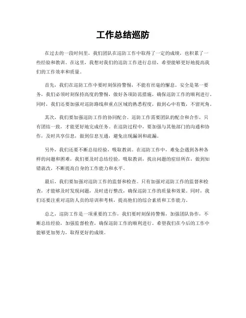 工作总结巡防