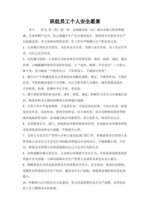 公司班组员工个人安全愿景
