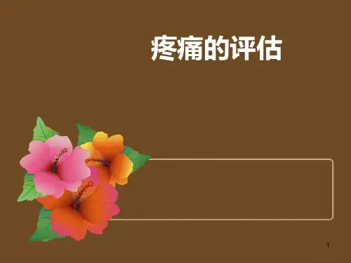 疼痛的评估PPT课件