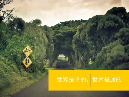 世界是平的,世界是通的(1)