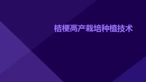 桔梗高产栽培种植技术