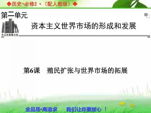 第6课 殖民扩张与世界市场的拓展 课件(人教版必修2)