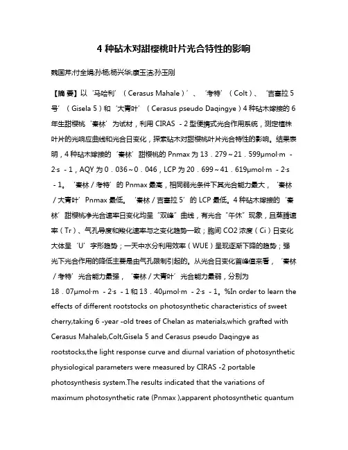 4种砧木对甜樱桃叶片光合特性的影响