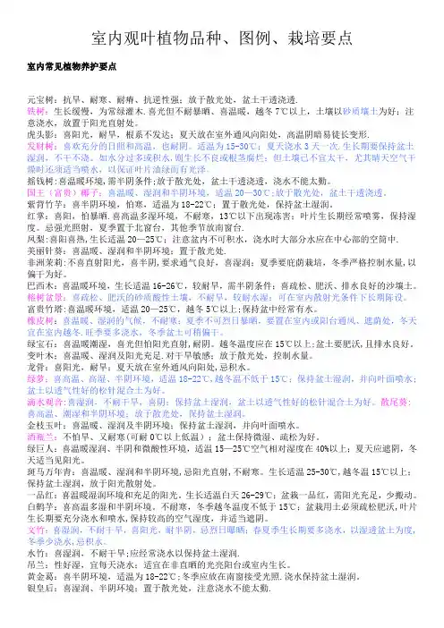 室内观叶植物品种、图例、栽培要点