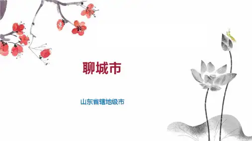 聊城市    