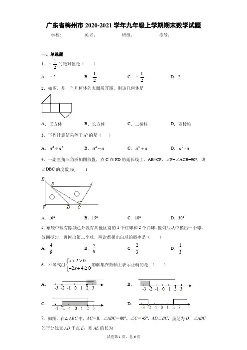 广东省梅州市2020-2021学年九年级上学期期末数学试题及参考答案