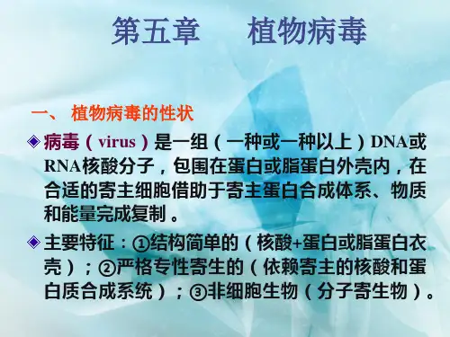 第五章  植物病毒.ppt