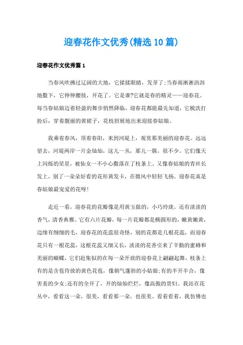 迎春花作文优秀(精选10篇)