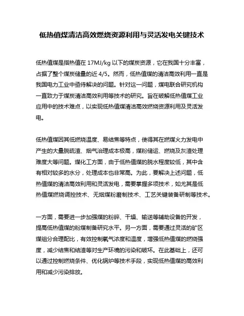 低热值煤清洁高效燃烧资源利用与灵活发电关键技术