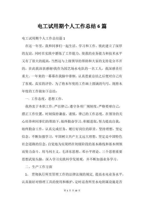 电工试用期个人工作总结6篇