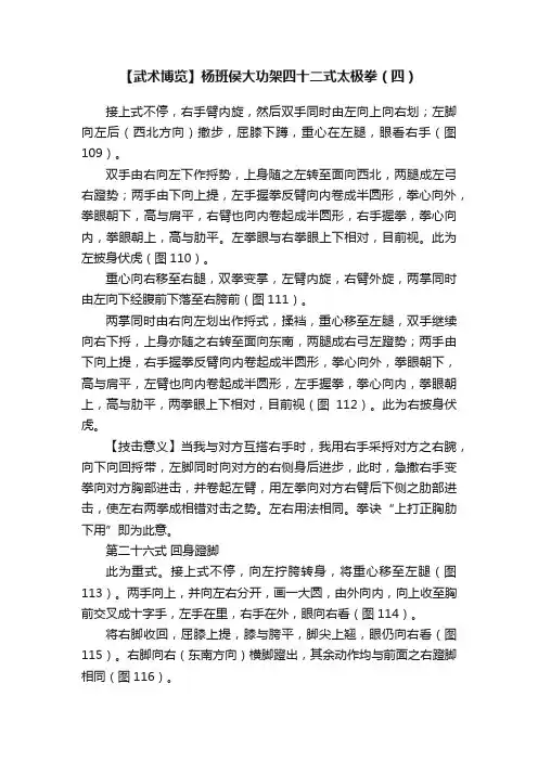 【武术博览】杨班侯大功架四十二式太极拳（四）
