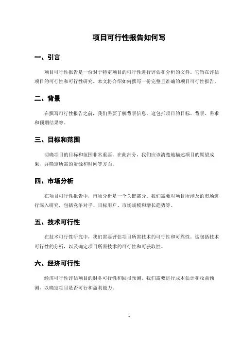 项目可行性报告如何写