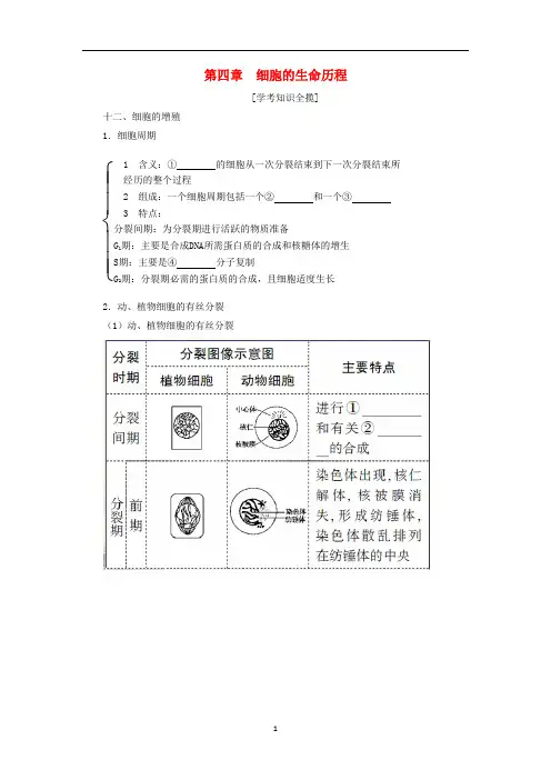 高三生物一轮复习 第4章 细胞的生命历程(含解析)(必修1)