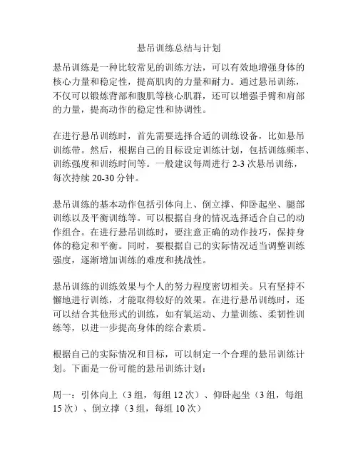 悬吊训练总结与计划