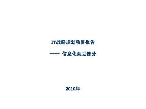 米兰达公司IT战略规划报告-信息化规划部分PPT课件