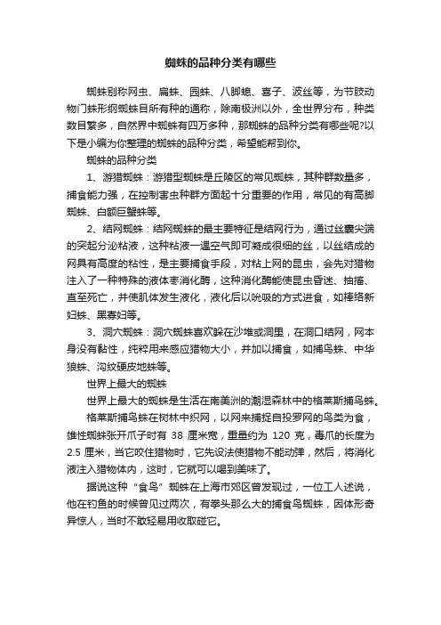 蜘蛛的品种分类有哪些