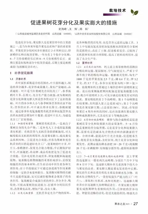 促进果树花芽分化及果实膨大的措施