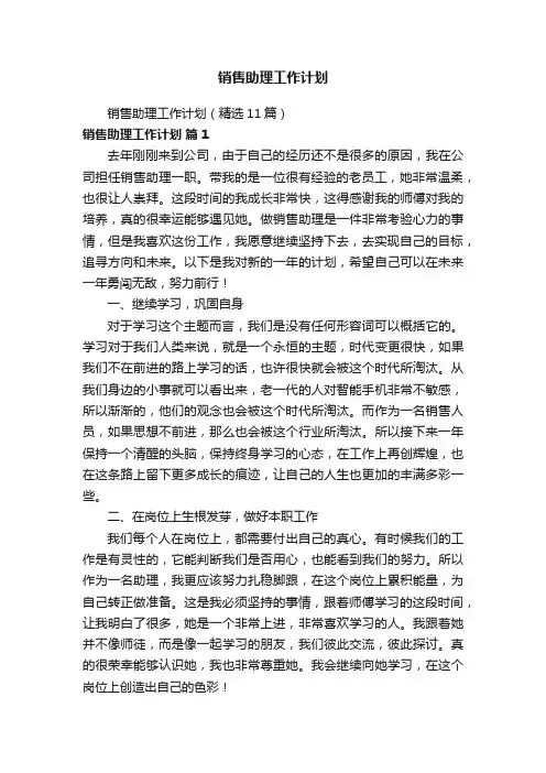 销售助理工作计划