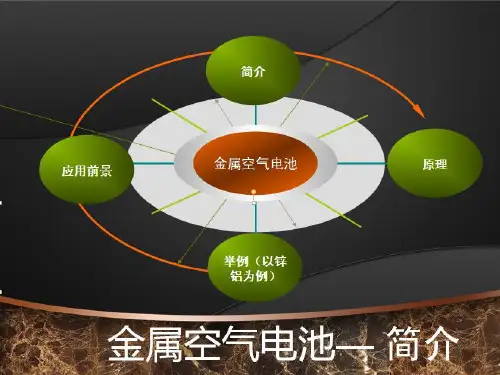 金属空气电池