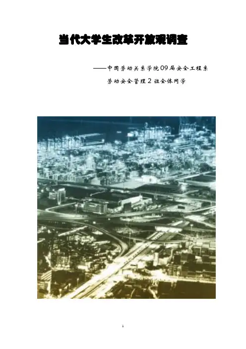 当代大学生改革开放观调查