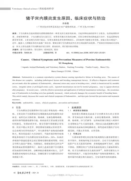 猪子宫内膜炎发生原因、临床症状与