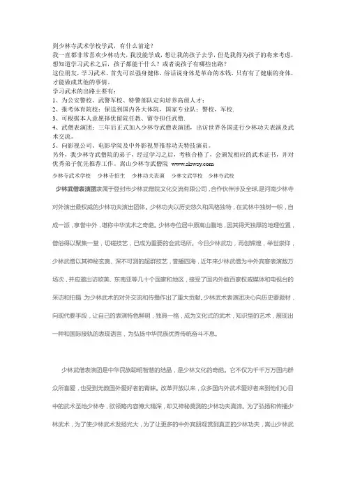 到少林寺武术学校学武有前途吗