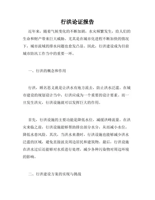 行洪论证报告