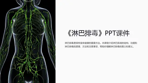 《淋巴排毒》课件