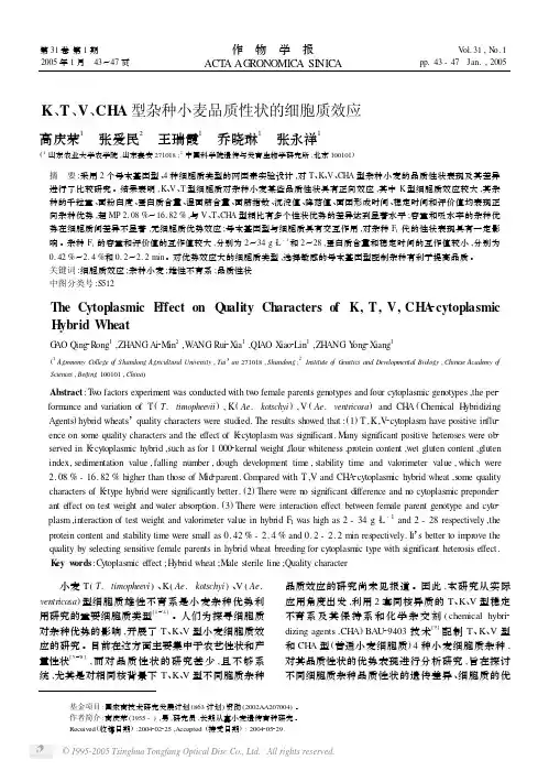 K、T、V、CHA型杂种小麦品质性状的细胞质效应