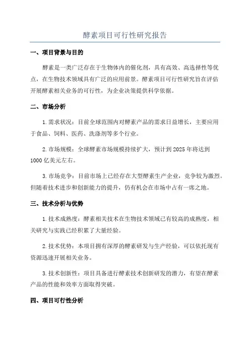 酵素项目可行性研究报告