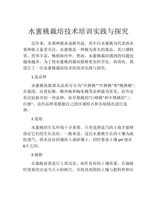 水蜜桃栽培技术培训实践与探究