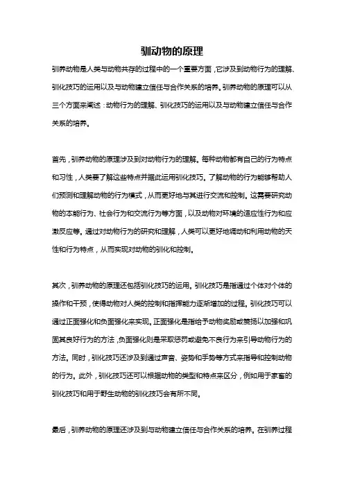 驯动物的原理