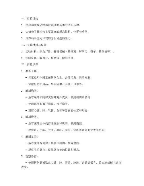 动物器官解剖实验报告