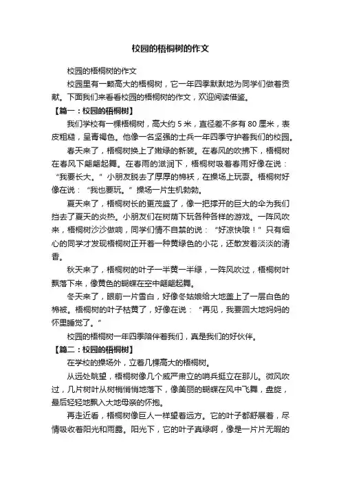 校园的梧桐树的作文