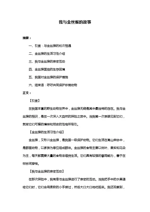 我与金丝猴的故事