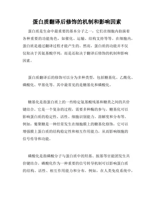 蛋白质翻译后修饰的机制和影响因素